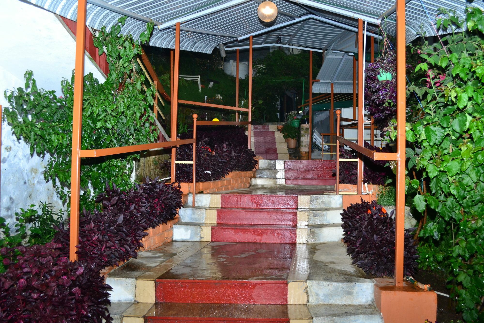 Kodai Sunshine Resort Kodaikanal Exteriör bild